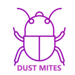 Dustmite