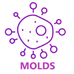 Molds